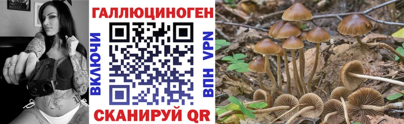 Галлюциногенные грибы мухоморы  blacksprut ONION  Кочубеевское 